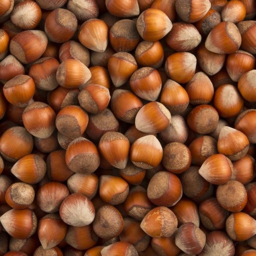 Nocciole di Serino in guscio in confezione da 1 kg