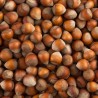 Serino Hazelnuts in shell, 3 kg pack