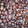 Serino Chestnuts in 3 kg pack